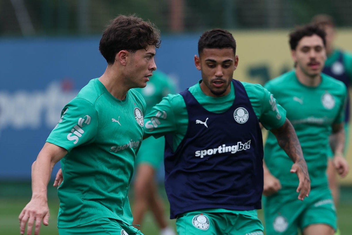 Palmeiras x LDU: onde assistir ao vivo, escalações e tudo sobre o jogo decisivo da Libertadores 2025. Imagem: Cesar Greco/Ag. Palmeiras