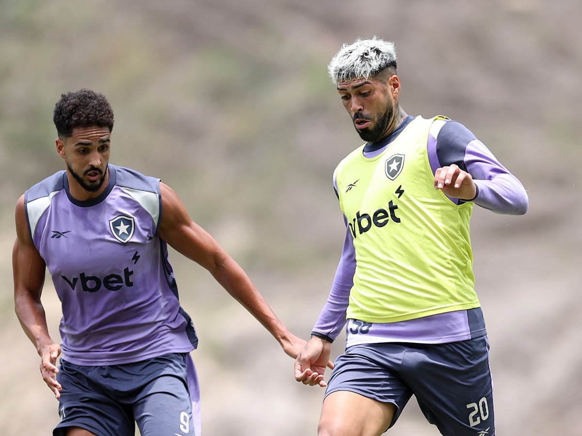 Botafogo x Grêmio: onde assistir, escalações e tudo sobre o duelo decisivo no Nilton Santos. Imagem: Vitor Silva/BFR