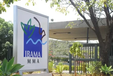 Ibama nega licença ambiental para usina termelétrica em Brasília