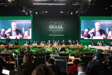 BNDES lança plataforma para monitorar ações do Fundo Clima