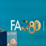 Lula celebra possibilidade de paz definitiva entre Israel e Hamas