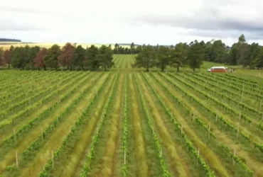 CMN restringe linha especial de crédito de 12 bilhões a produtores do RS