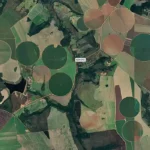 Cerrado brasileiro perde 28% da vegetação nativa em 40 anos