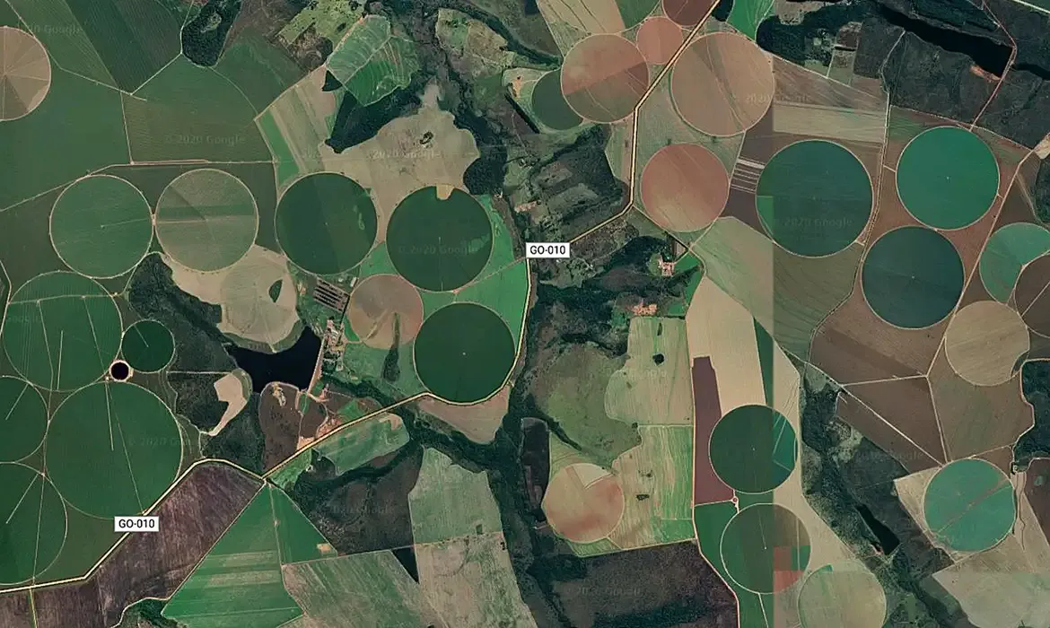 Cerrado brasileiro perde 28% da vegetação nativa em 40 anos