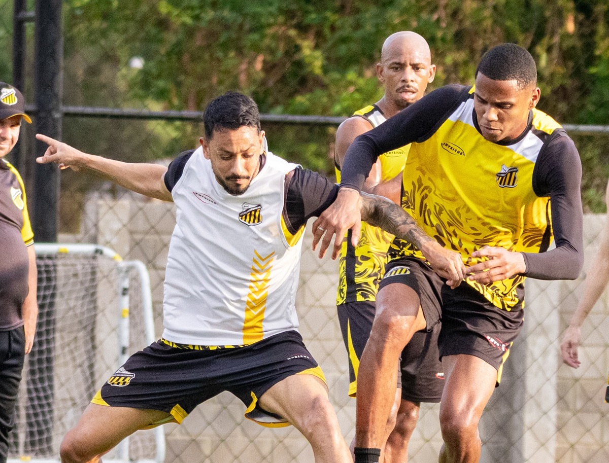Amazonas x Novorizontino: onde assistir, escalações e tudo sobre o jogo pela Série B. Imagem: @basso.photo Novorizontino
