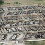 ACNB-Maior-etapa-da-historia-do-Circuito-Nelore-de-Qualidade-avaliou-mais-de-3-mil-animais-foto-divulgacao