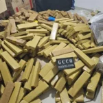 Apreensões de drogas em MT somam R$ 574 milhões em prejuízo às facções