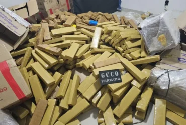 Apreensões de drogas em MT somam R$ 574 milhões em prejuízo às facções