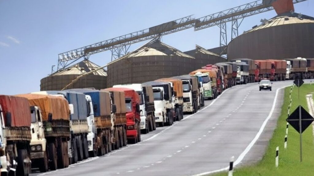 Armazenamento de Soja em Mato Grosso