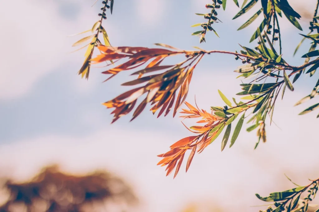 Boa sorte e sucesso financeiro