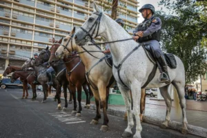 Cavalaria recupera veículo furtado durante operação em Nova Mutum