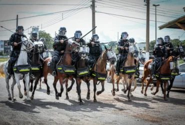 Jovem é preso por tráfico durante patrulhamento da PM em Sinop