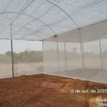 Projeto de aquaponia impulsiona agricultura familiar em Mato Grosso