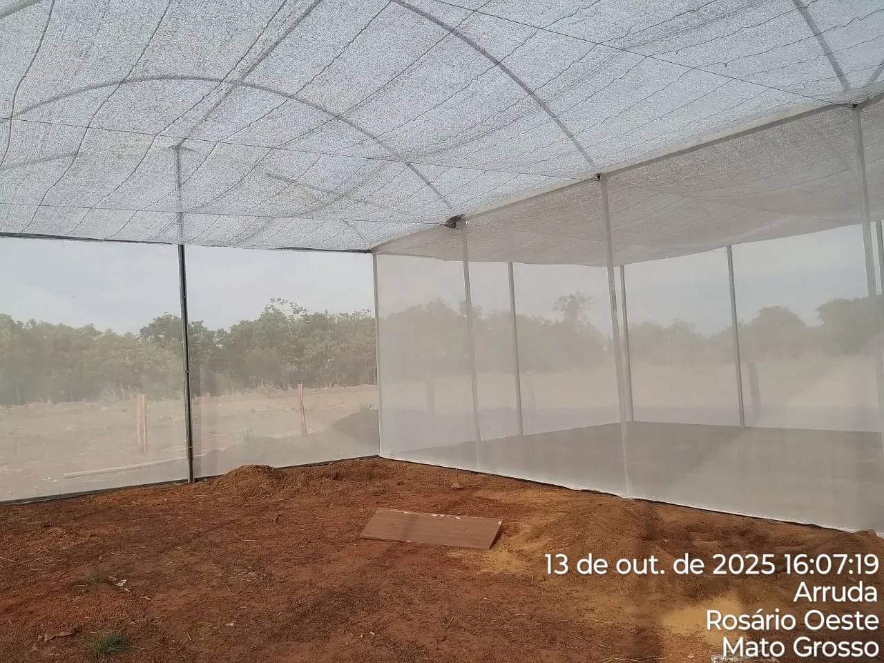 Projeto de aquaponia impulsiona agricultura familiar em Mato Grosso
