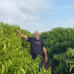Café impulsiona agricultura familiar em Mato Grosso com apoio governamental