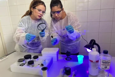 Corpo carbonizado em Confresa é identificado por impressões digitais