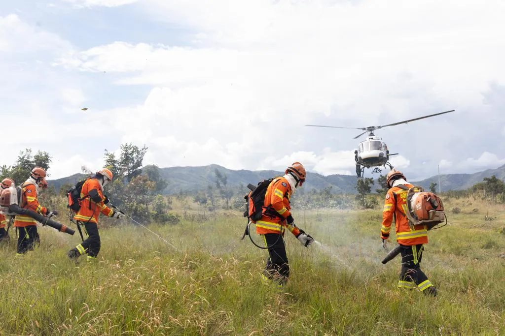 Bombeiros combatem 19 incêndios florestais em Mato Grosso