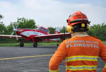 Bombeiros combatem sete incêndios florestais em Mato Grosso