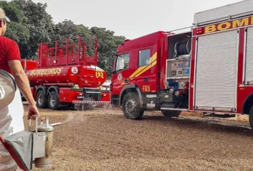 Bombeiros removem enxame de abelhas em residência de MT