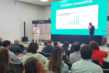 Déficit no mercado de biomassa coloca MT em alerta