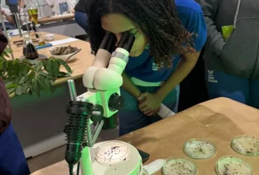 Feira de Ciências em MT destaca protagonismo feminino e bioherbicidas