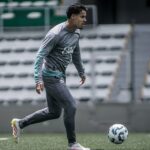Juventude x Palmeiras: onde assistir, escalações e tudo sobre o duelo no Alfredo Jaconi. Imagem: Fernando Alves/ECJ