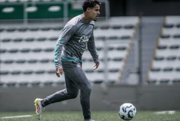 Juventude x Palmeiras: onde assistir, escalações e tudo sobre o duelo no Alfredo Jaconi. Imagem: Fernando Alves/ECJ