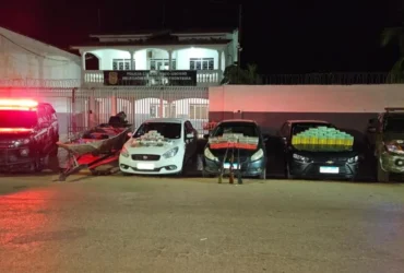 Operação em Cáceres apreende 103 kg de drogas e gera prejuízo milionário