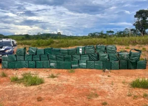 Segurança pública em Mato Grosso registra aumento de apreensão de drogas em 2025