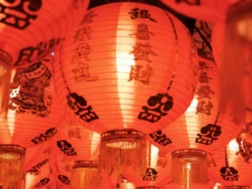 Horóscopo Chinês