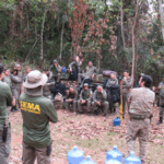 Imagem Fiscais da Sema e Polícia Civil integram forças em workshop contra o desmatamento