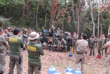 Imagem Fiscais da Sema e Polícia Civil integram forças em workshop contra o desmatamento