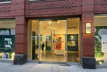 Pantanal ganha destaque em Nova York com galeria imersiva