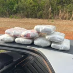 Idoso é preso com 8 kg de maconha em Canarana, MT