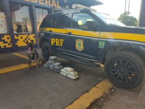 Droga foi localizada com auxílio do cão farejador K9 Zion; passageiro seguia de Rio Branco para Fortaleza e receberia pagamento pelo transporte