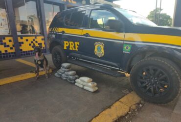 Droga foi localizada com auxílio do cão farejador K9 Zion; passageiro seguia de Rio Branco para Fortaleza e receberia pagamento pelo transporte