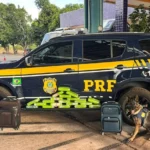 PRF apreende 20 tabletes de maconha em ônibus interestadual na BR-364 em Cuiabá (MT)