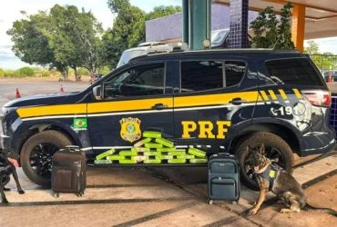 PRF apreende 20 tabletes de maconha em ônibus interestadual na BR-364 em Cuiabá (MT)