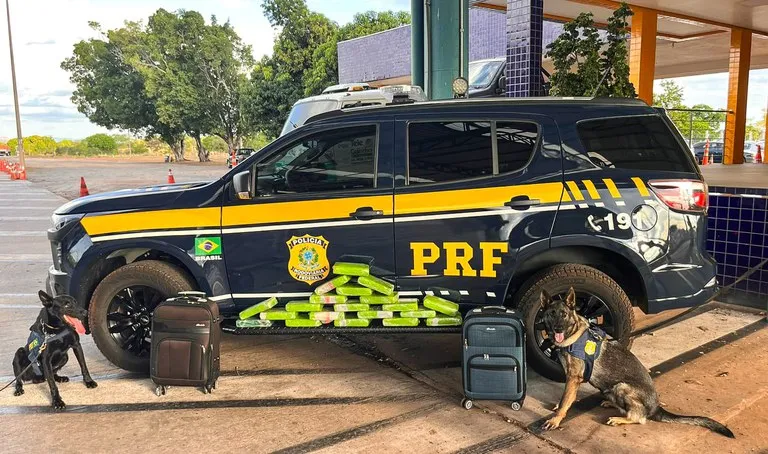 PRF apreende 20 tabletes de maconha em ônibus interestadual na BR-364 em Cuiabá (MT)