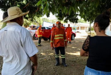 Parceria reduz 96% dos focos de calor no Pantanal