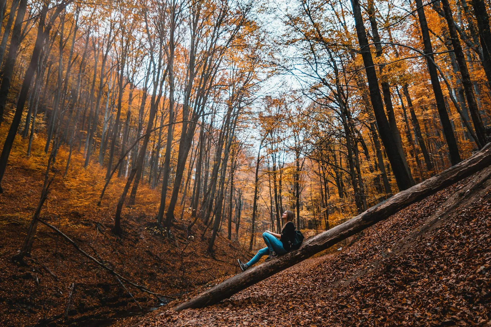 Pensativo na natureza