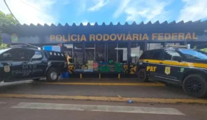 Polícia apreende 485 tabletes de maconha em Rondonópolis