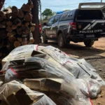 Polícia Civil incinera 1,1 t de drogas em Cáceres