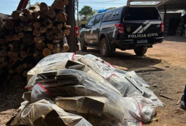 Polícia Civil incinera 1,1 t de drogas em Cáceres