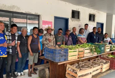 Povos indígenas fortalecem segurança alimentar em Mato Grosso