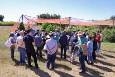 Produtores de Sorriso participam de missao tecnica em Brasilia para fortalecer a agricultura familiar -CenárioMT