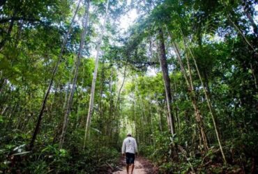 Projeto nacional paga produtores de Sorriso que mantem a floresta em pe -CenárioMT