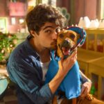 Quando-estreia-Caramelo-filme-com-vira-lata-simbolo-do-Brasil-no-streaming