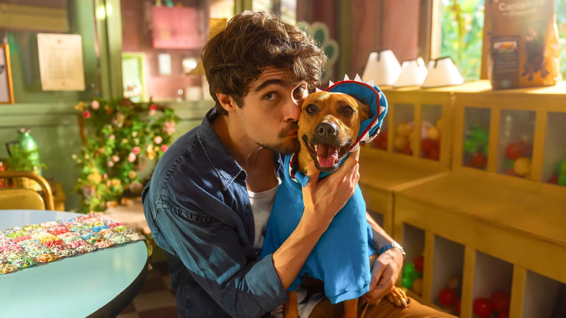 Quando-estreia-Caramelo-filme-com-vira-lata-simbolo-do-Brasil-no-streaming