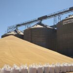 Soja a céu aberto em Mtato Grosso